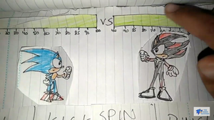 Sonic Fighters